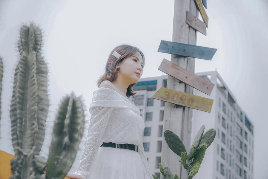 Kano Gov’t sponsors 1001 post graduate students to India, Uganda