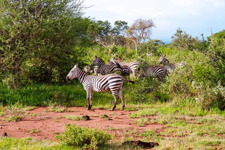 Kenya Reports 6.2% Growth — Africa Reacts as June Opens — Sports