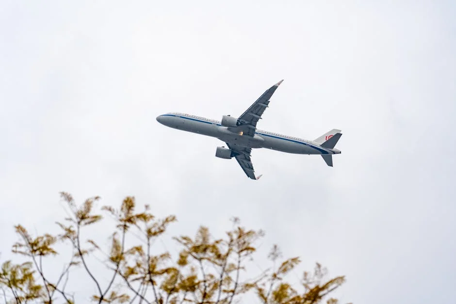 Keyamo sets up taskforce to relocate airlines to MMIA Terminal 2