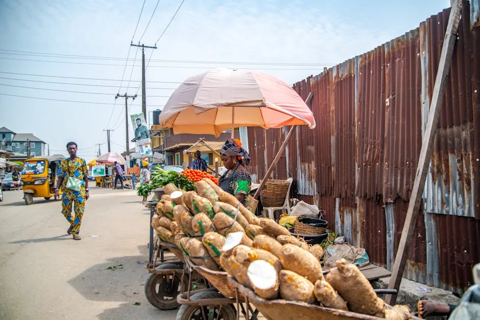 Lagos Government Intensifies Surveillance at MMIA to Combat Fresh Ebola Threat — Politics Governance