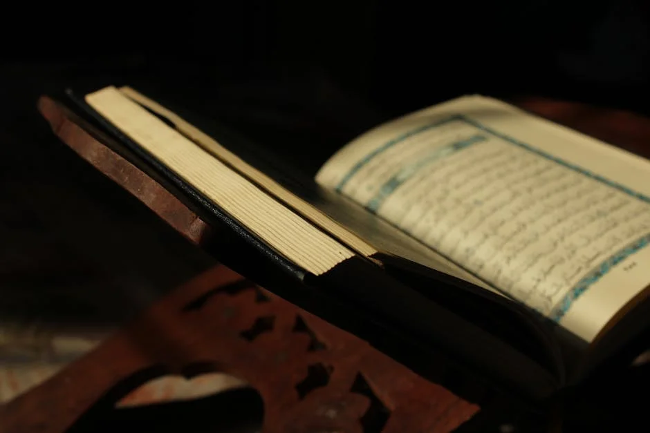 Lawmaker urges Tinubu to release Nnamdi Kanu as gift to Ndigbo