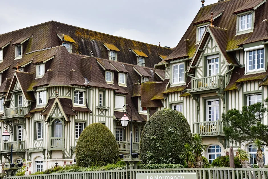 Le Normand criticises Tottenham's schedule change: what it means for player welfare — Economy Business