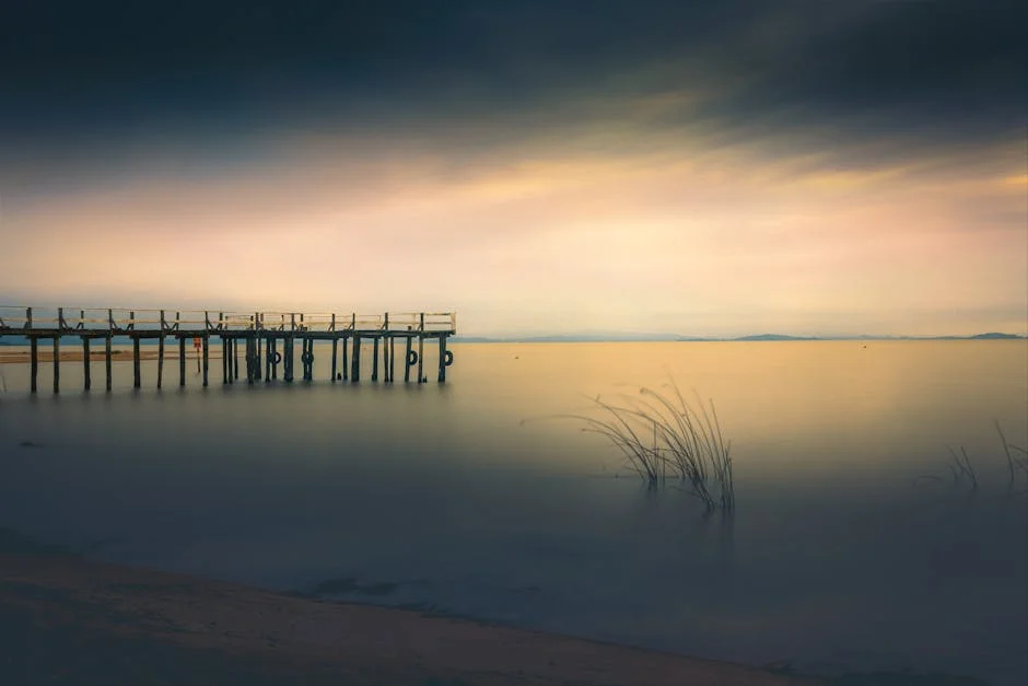 Lisboa Paulo Ribeiro Slams PSD-Lisboa's Shift: What It Means for Political Unity — Economy Business