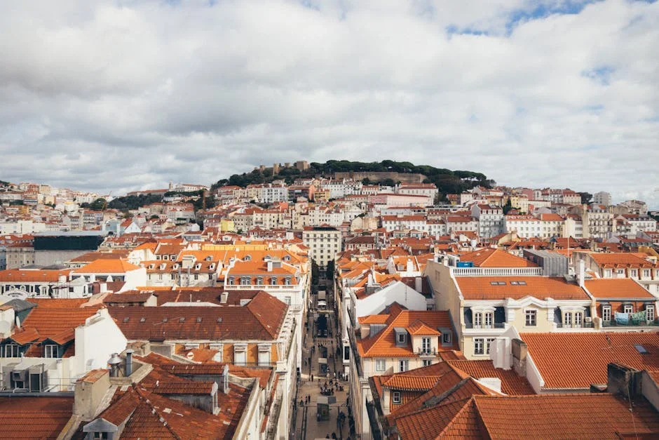 Lisbon's Livre Party Faces Setback as Debate Request Rejected — Economy Business