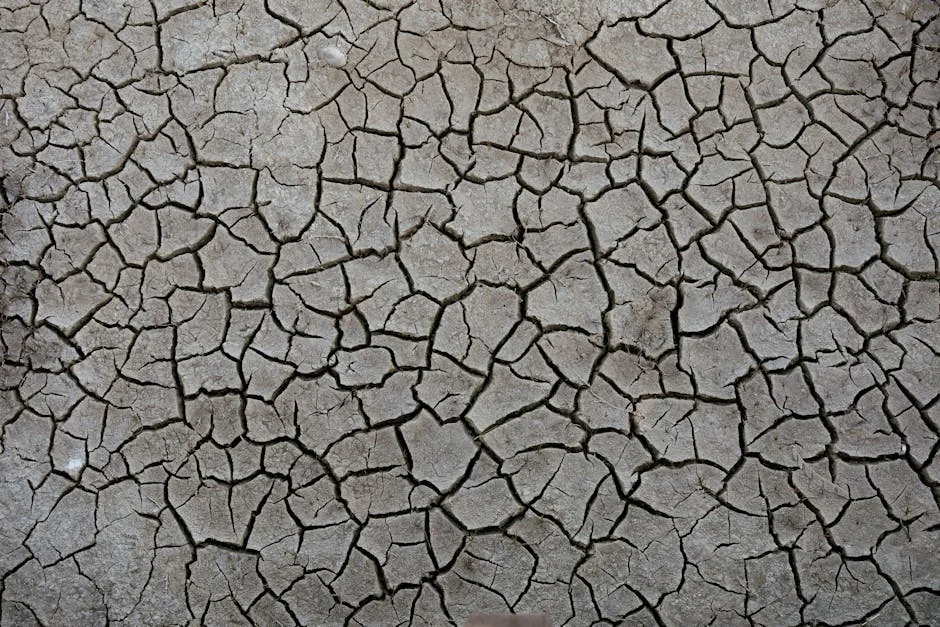 Lisbon's Pátio da Quintinha Faces Eviction Fears Again — Economy Business