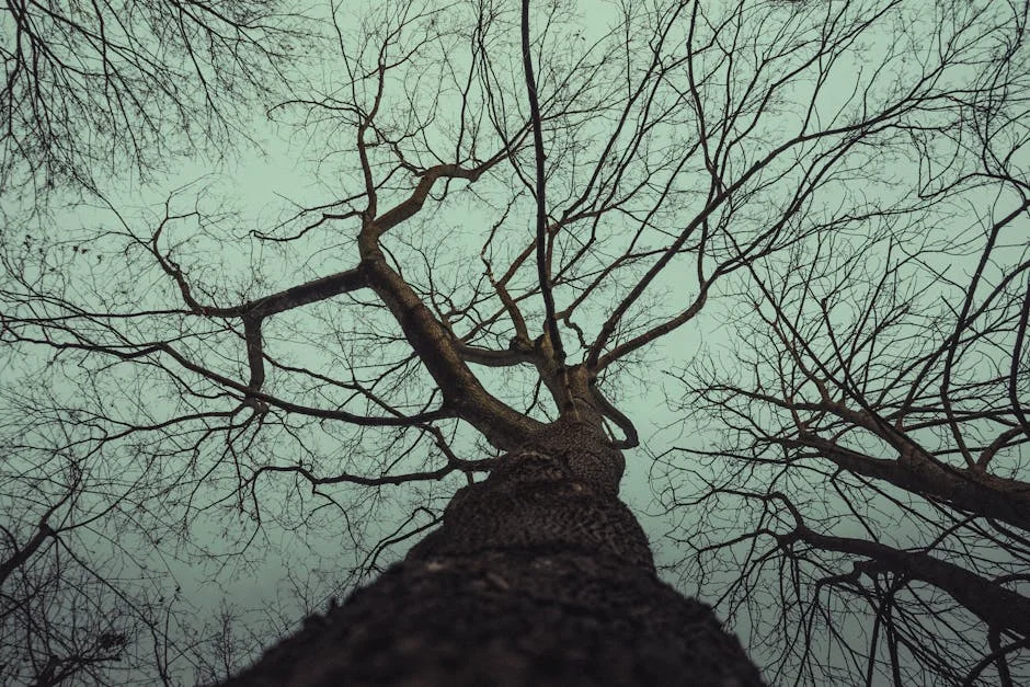 Local Man Brutally Kills Boy and Drinks Blood: A Shocking Tale from Nigeria — Economy Business