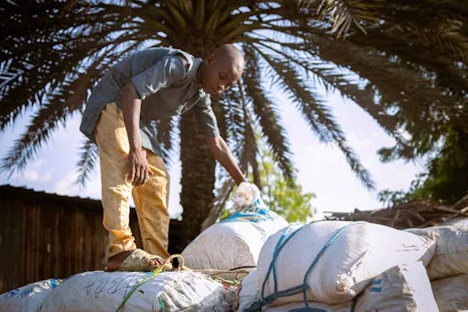 LP has no ground to call for Yakubu’s sack –INEC