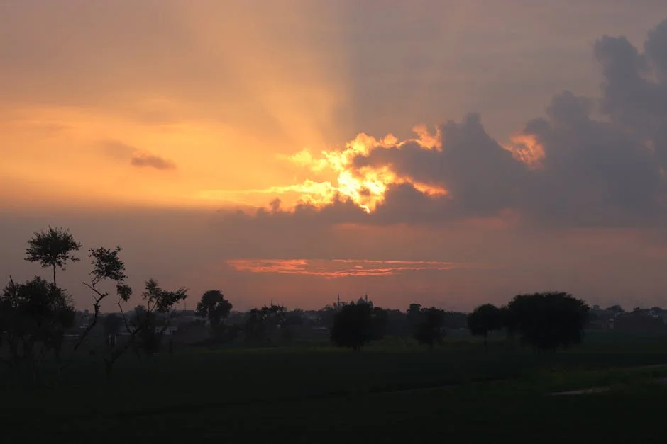 Ludhiana's Weather Shift Triggers Concerns for Nigerian Agriculture — Economy Business