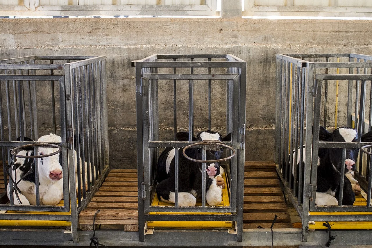 Madagascar Passes Bill To Castrate Child Rapists