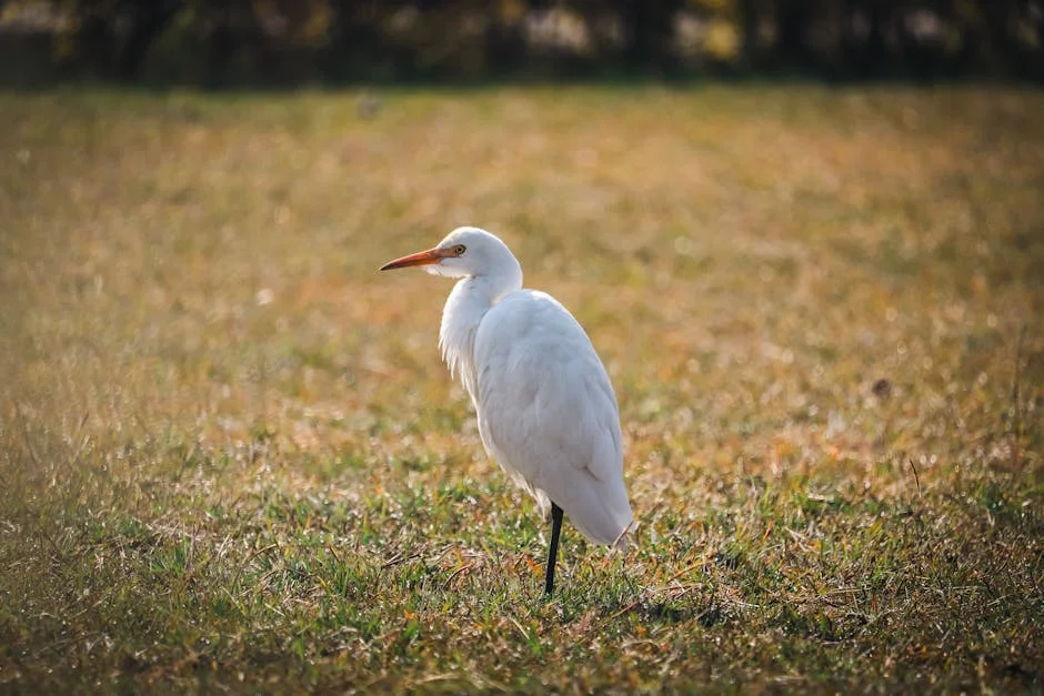 Madhya Pradesh Halts Tuberculosis Nutrition Fund for Five Months – Families Demand Action — Health Medicine