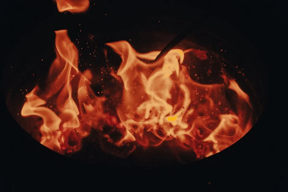 MAI Warns of "Tough Year" for Wildfires as SIRESP Updates Loom — Economy Business