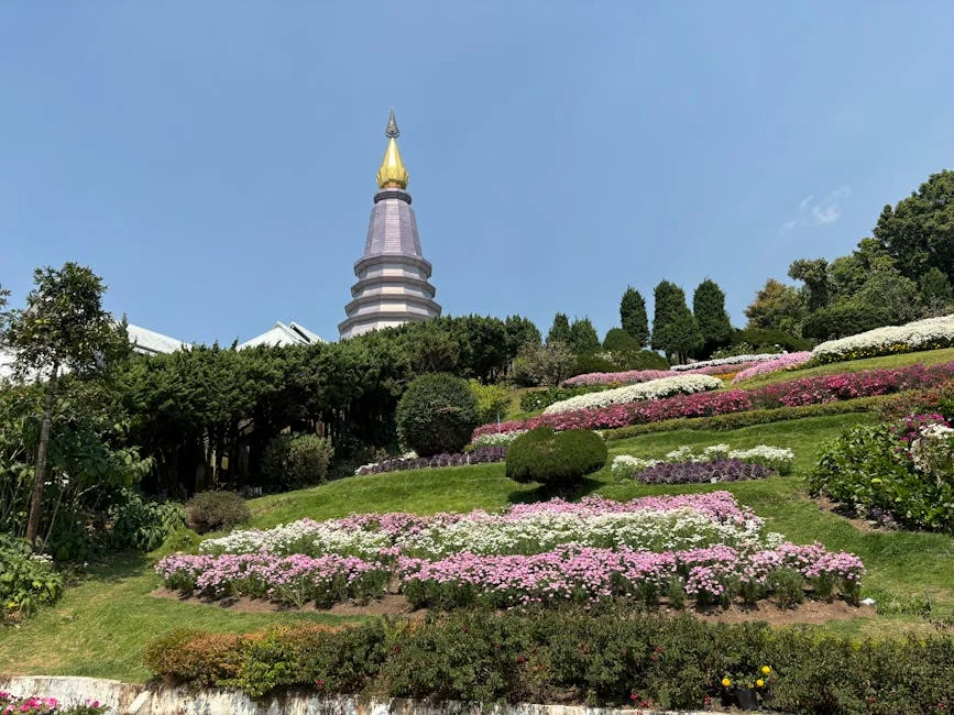 Mais Exposes Unused Dental Cheques for Children in Nigeria — What It Means for Health — Economy Business