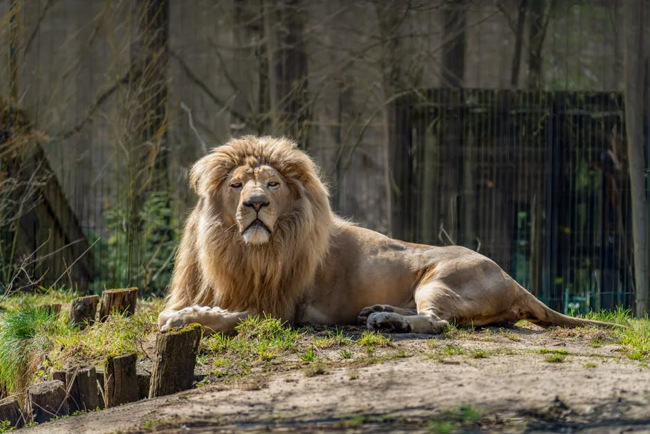 Manufacturers Concerned as N77 Trillion Debt Jeopardizes Tinubu's Economic Plan