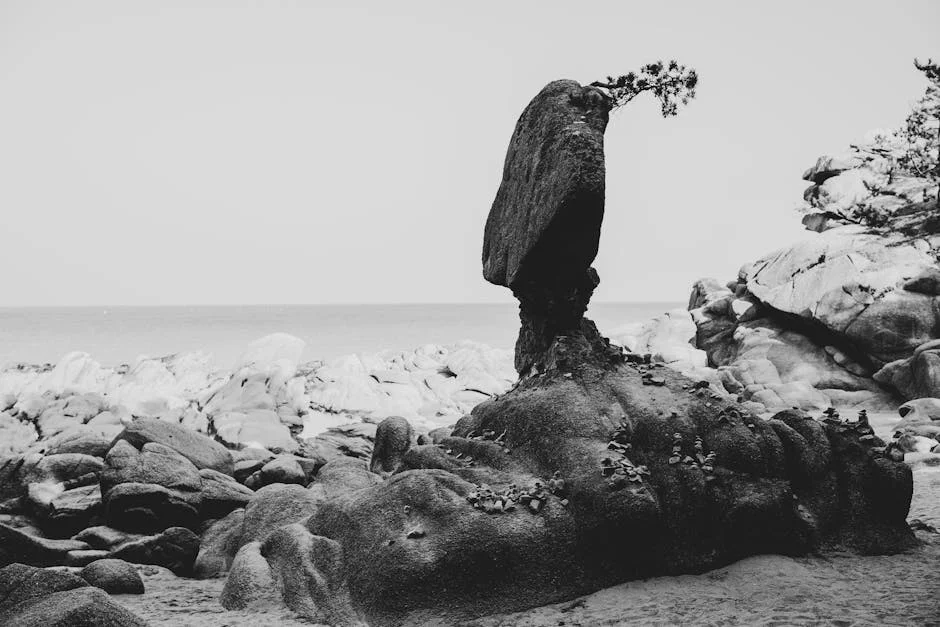 Mass surrender rocks Boko Haram camps – MNJTF