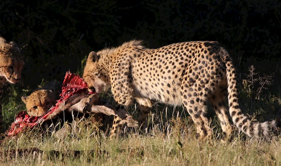 Mduduzi Ncube exits Big Zulu's label for solo venture — what it means for Inkabi Records — Economy Business