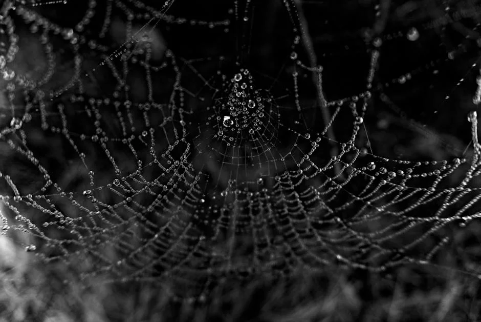 Meta Launches Web Version of Threads