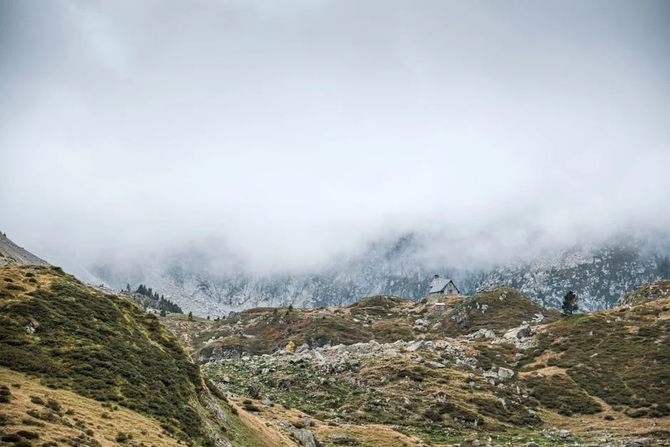 Montenegro Seals Climate Alliance with Spain: What It Means for Nigeria's Future — Economy Business