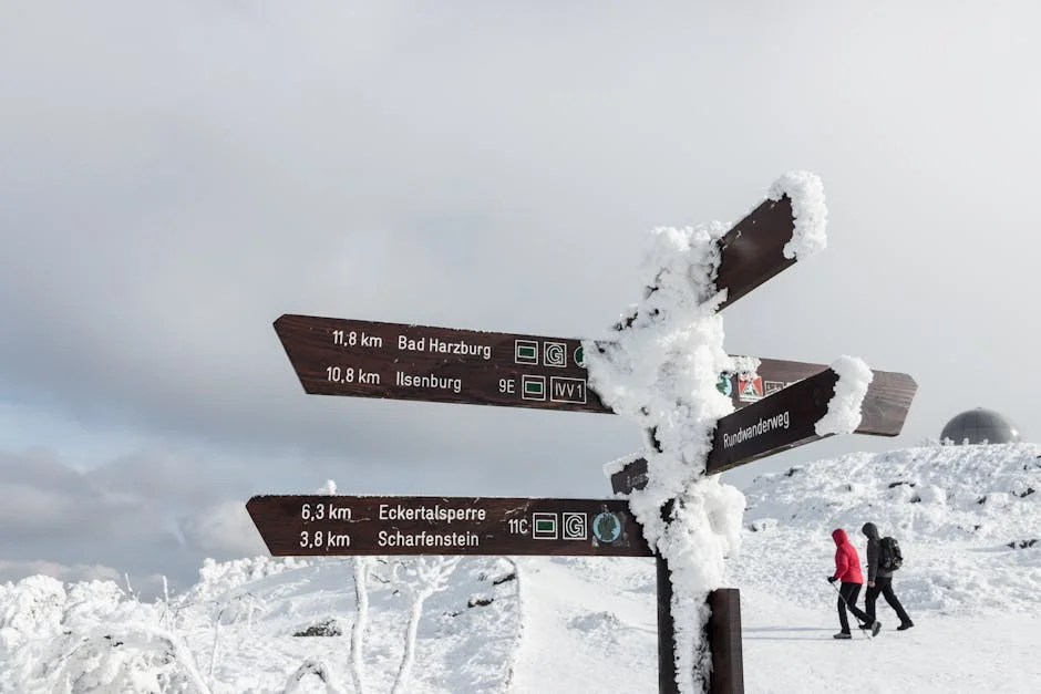 Morroco Earthquake: Death toll hits 2,000, as survivors sleep on the street