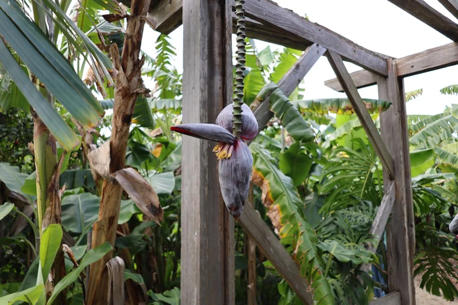 Musa Mseleku Reveals Stunning Bird’s-Eye View of Umzumbe Estate — Here's Why It Matters — Economy Business