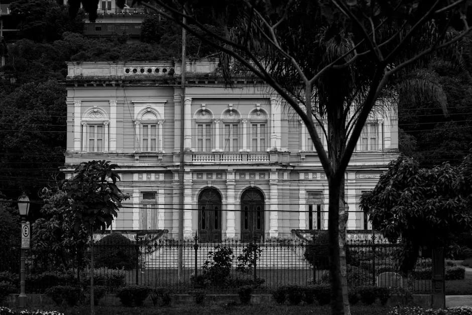 MySol Hosts R220 Million Clifton Mansion Party Amid South African Wealth Divide — Infrastructure Cities
