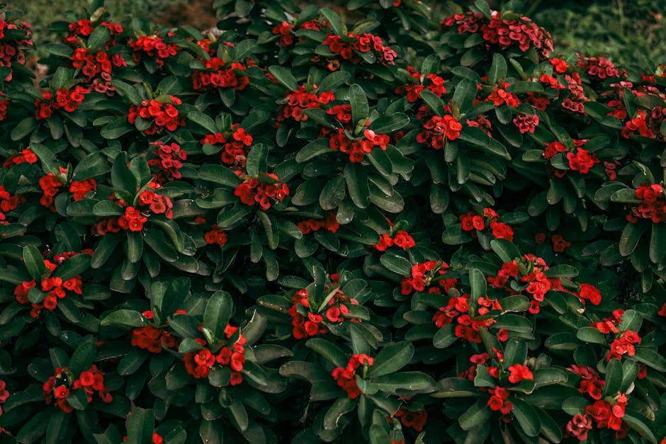 Mysuru Government Opens Udayagiri South Police Station: What It Means for Local Security — Politics Governance