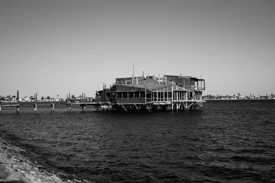 Namibia's Green Energy Push Threatens Penguin Habitat - What It Means for Africa's Development Goals — Environment Nature