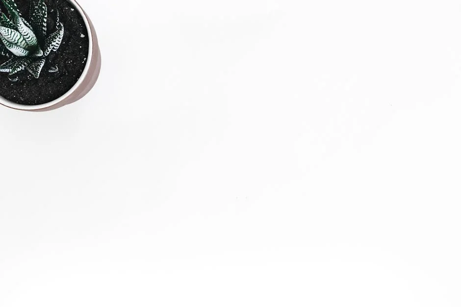 NAUS Begs Govt to Alleviate Their Suffering