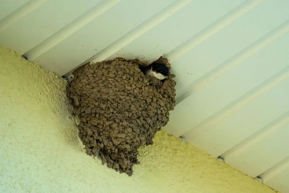 Neste Unveils New Housing Package: What It Means for Nigeria's Future — Economy Business