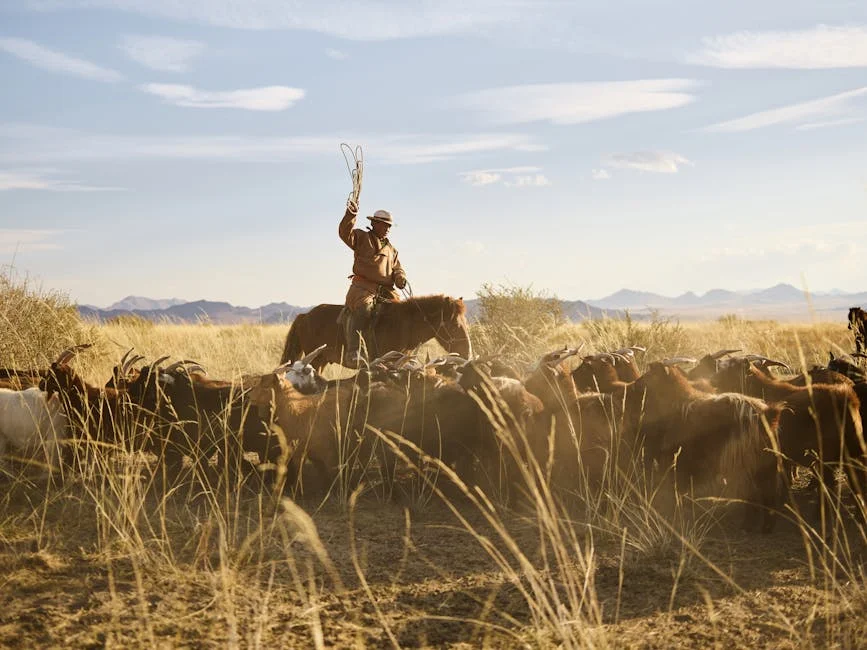 Netflix’s ‘Hombre en llamas’ Dominates Viewership — Here Is Why It Matters — Education