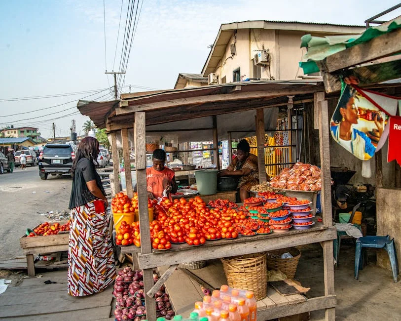 Nigeria Food Prices Soar as Households Turn to One-Pan Dinners — Infrastructure Cities