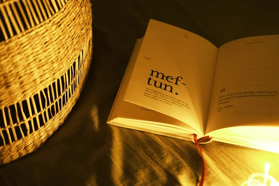 Nigeria Launches Dialed Initiative to Boost Digital Literacy — 500,000 Learners Targeted — Economy Business