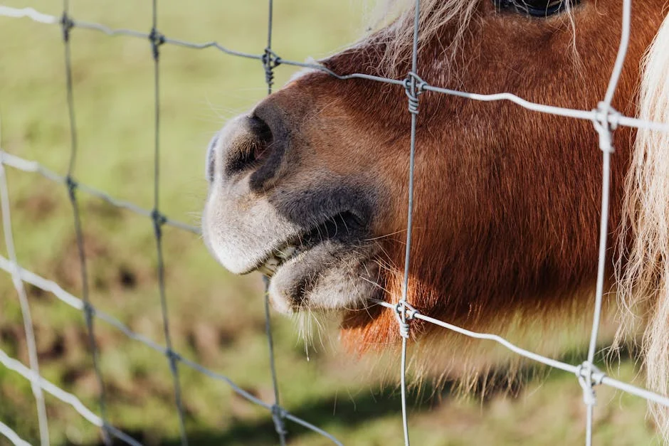 Nigeria National League Postpones 2003-2024 League Kick-off Date