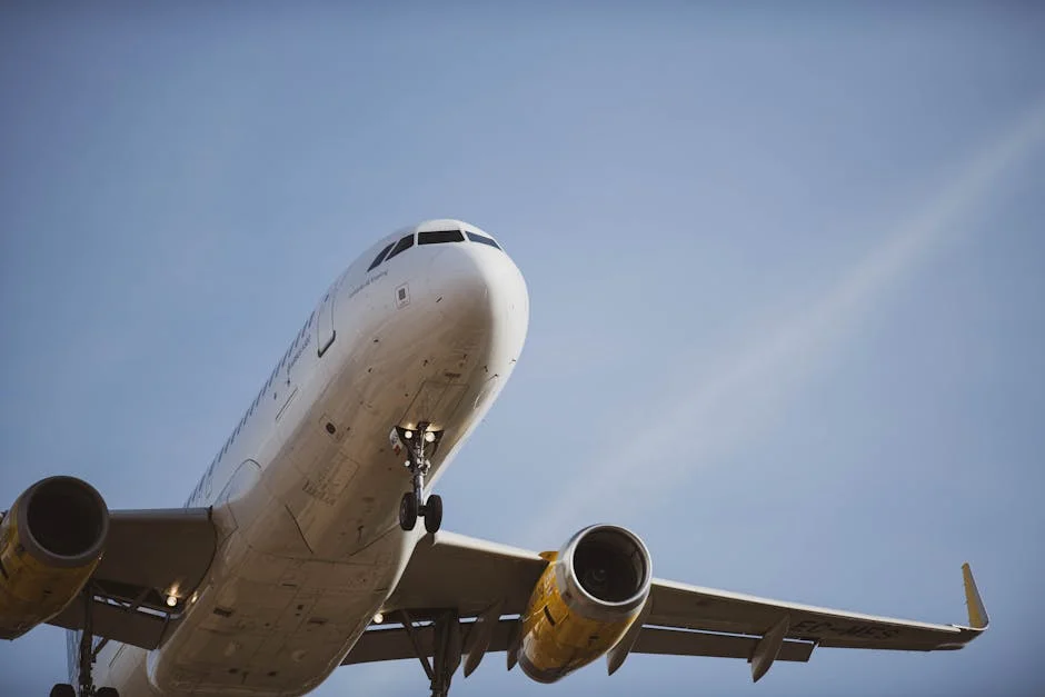 Nigeria Seals Landmark Airbus Deal After Federal Government Approval — Politics Governance
