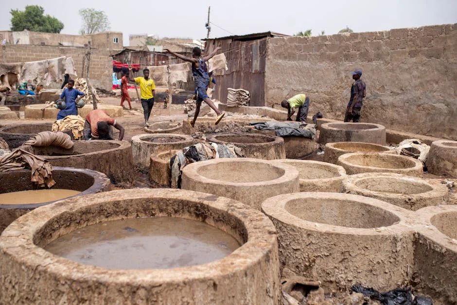 Nigerian Court Strikes Down Vat Act Section: What It Means for Fiscal Governance — Politics Governance