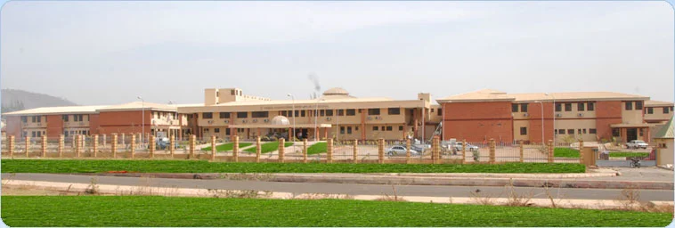 Nigerian Mother's Story Reveals Deep Covid Impact on Families — Economy Business