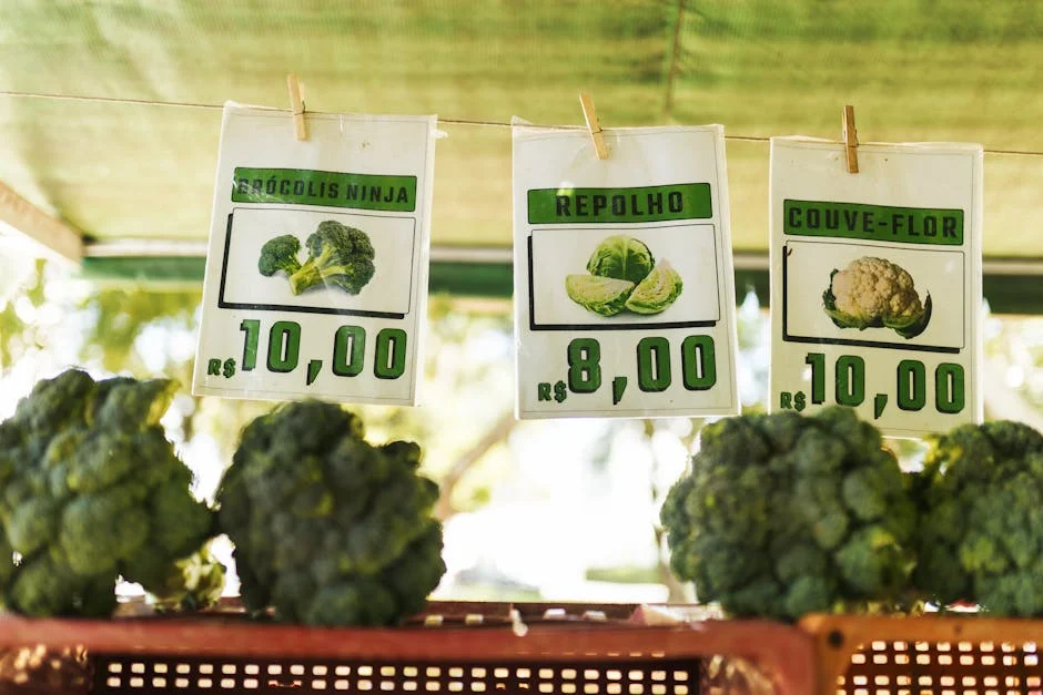 Nigerian Oil, Food Prices, and Tech Show African Development Potential — Economy Business