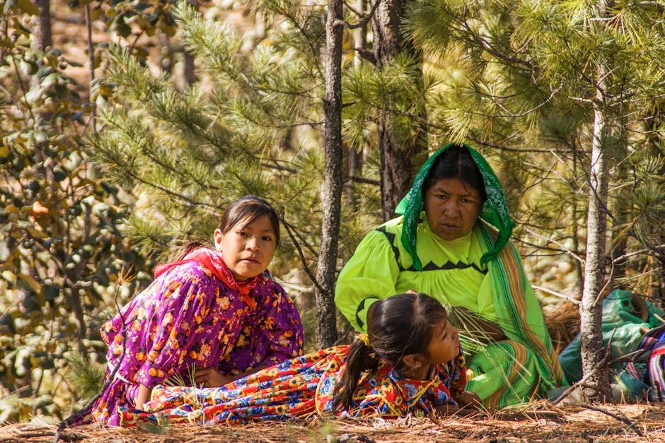 Nigeria's $2 Trillion Gold Scandal Exposes Deepening Economic Crisis — Politics Governance