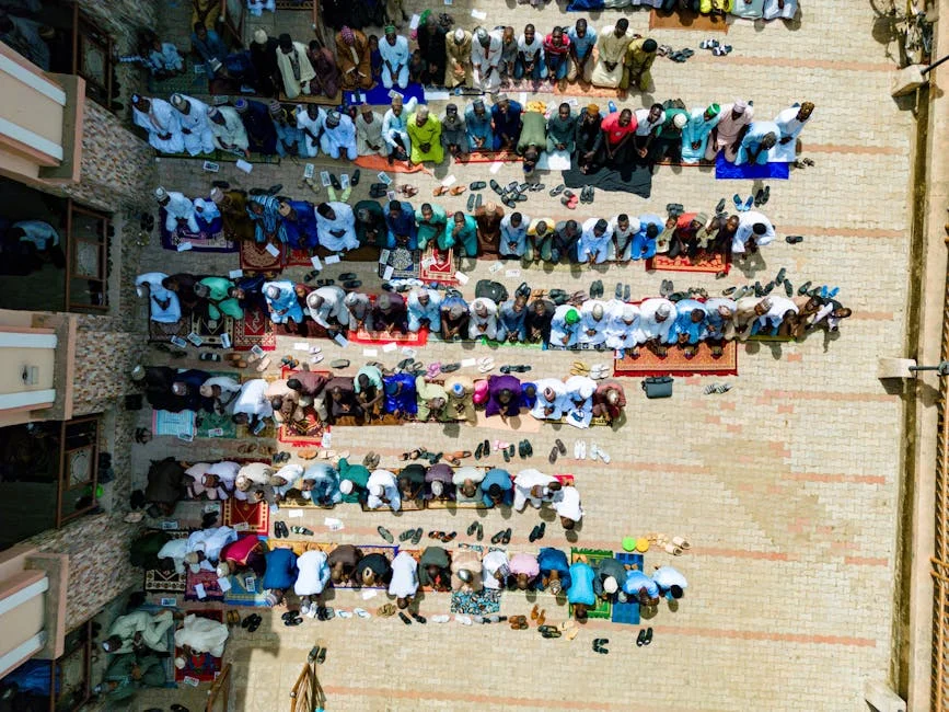 Nigeria's Diaspora Sends Record Aid — How It Saves Lives — Technology Innovation