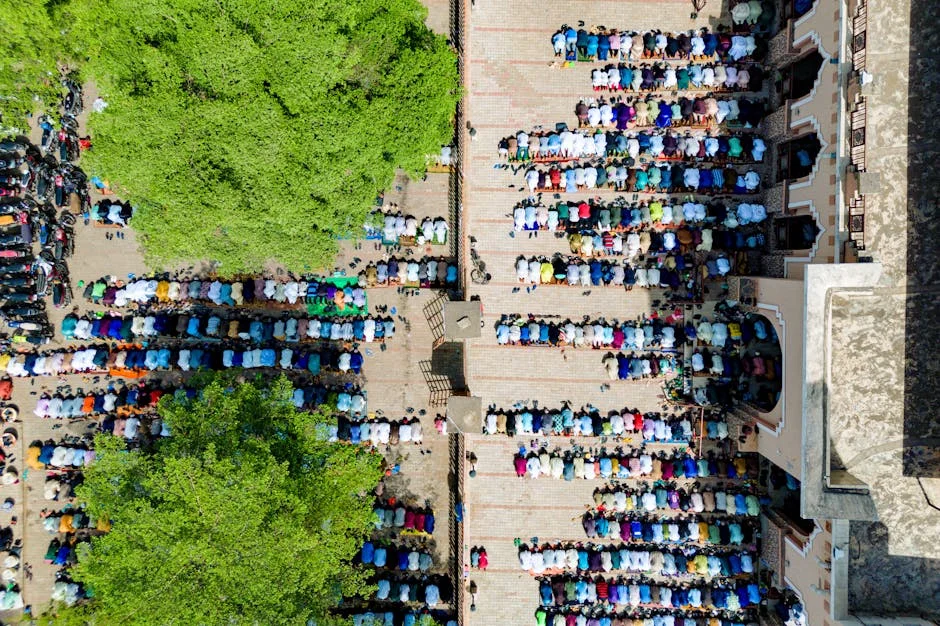 Nigeria's Tribunal Reforms Emergency Procedures — Citizens Brace for Impact — Economy Business