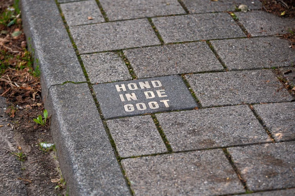 Nigeria's Yellow House Sparks Debate on Urban Development — Economy Business