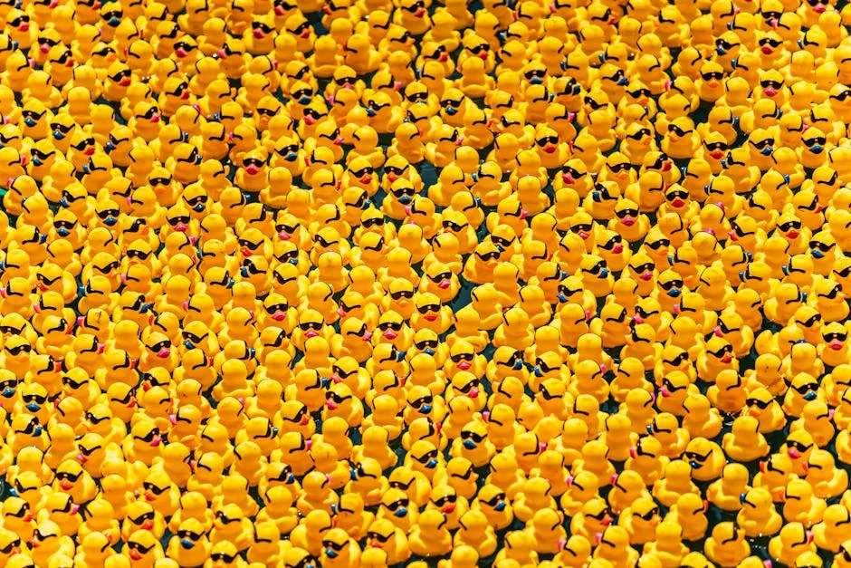 NNPP Ex Chairman Rufa’i Alkali, 25 others join APC