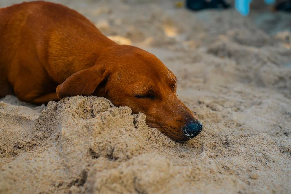 NYSC Member Slumps, Dies While Watching Nigeria, South Africa Match