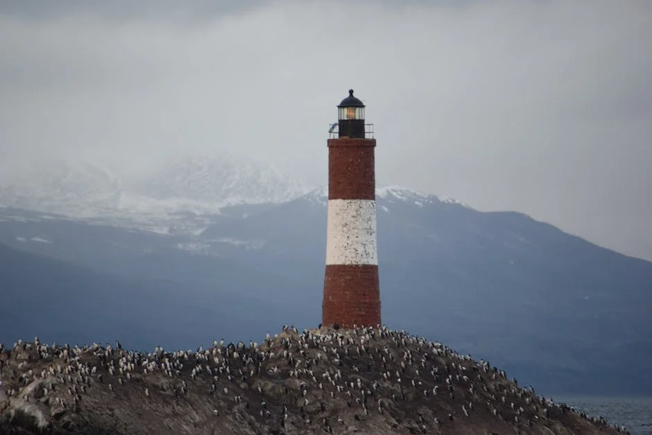 Pinto Dias Exposes Underground Arms Warehouses — What It Means for Nigeria's Security — Economy Business