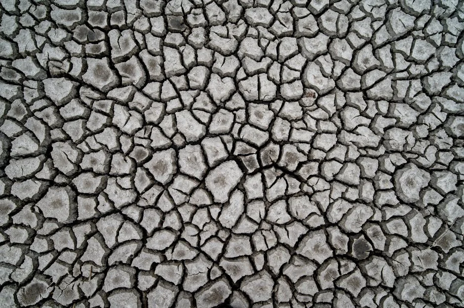 Police Set to Crack Down on Kano Blacksmiths Producing Weapons for Criminals