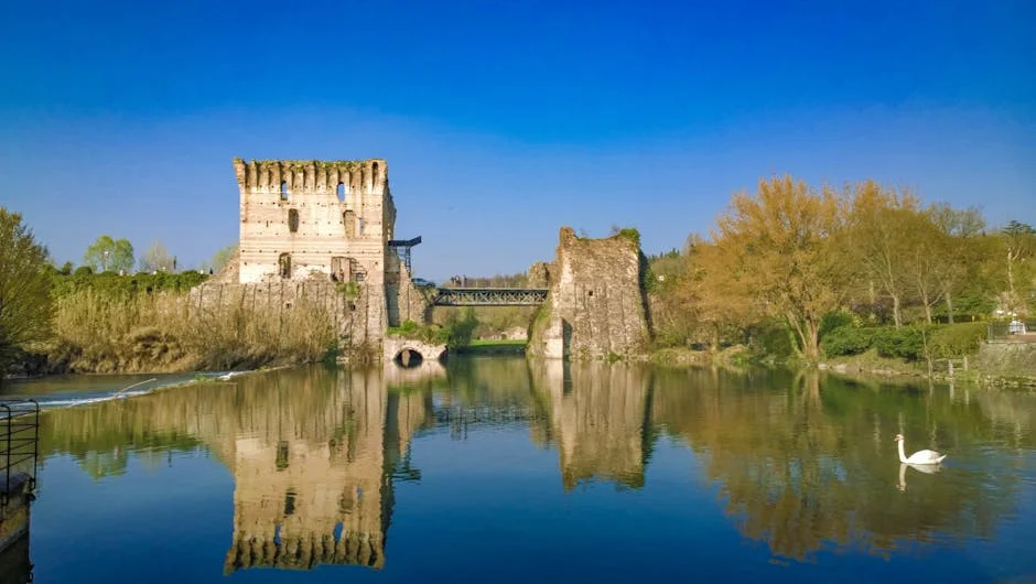 Ponte de Lima Honours António Feijó: A Tribute to Leadership and Community Spirit — Economy Business