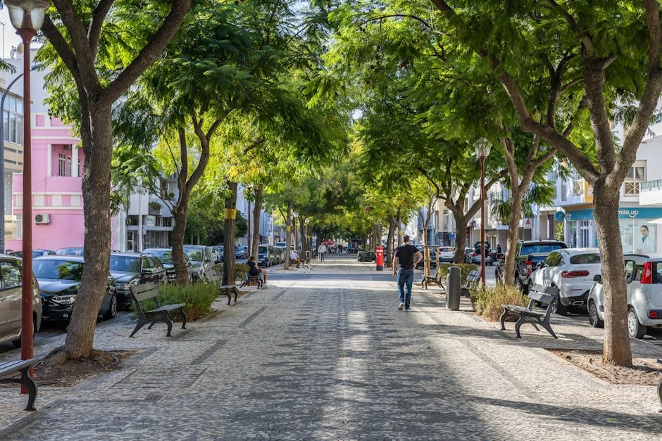 Portugal Celebrates 200 Years of Carta Constitucional — Here's Why It Matters — Economy Business