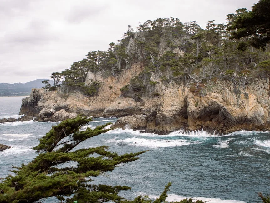 Portuguese Writer Lobo Antunes Laid to Rest - Family and Friends Mourn Loss — Economy Business