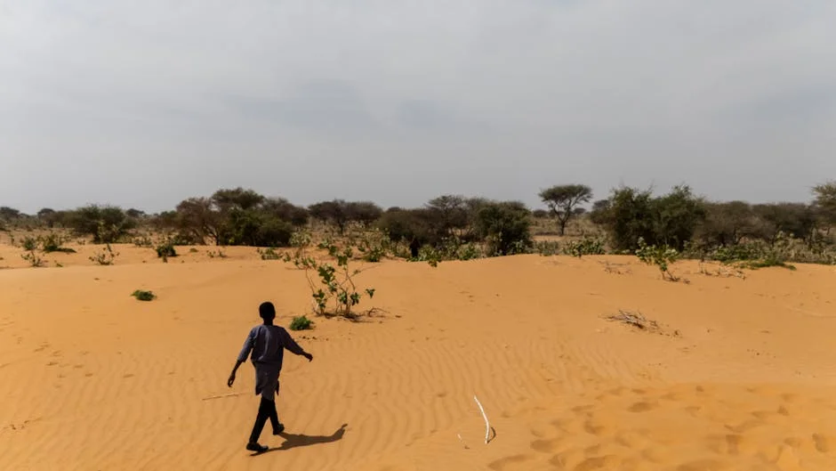 Pretoria Man Sentenced to 20 Years for Rape and Attempted Rape at Shelter: what it reveals — Economy Business