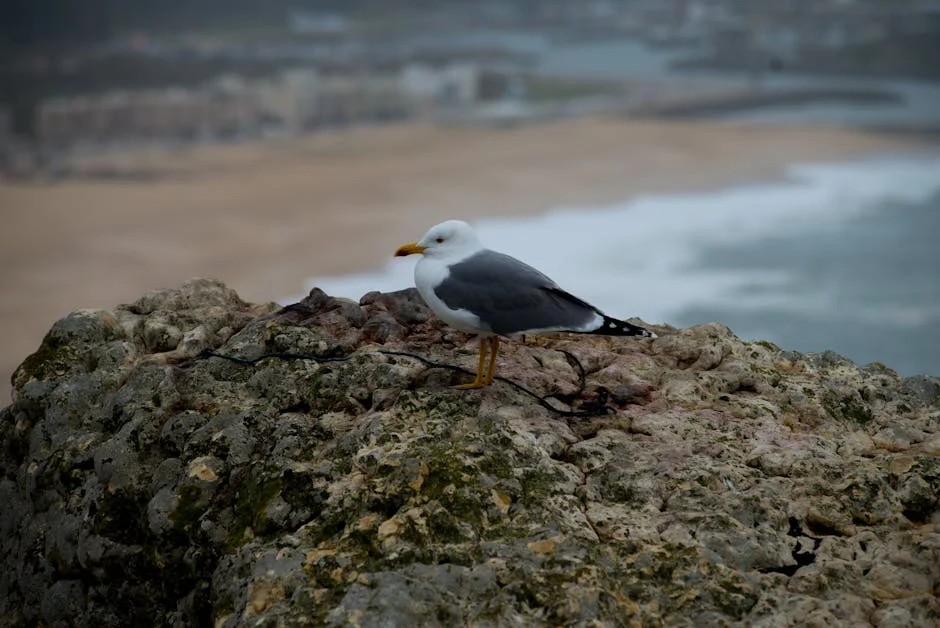 Professor in Leiria Sentenced to Three Years Suspended for Child Abuse — What It Means — Economy Business