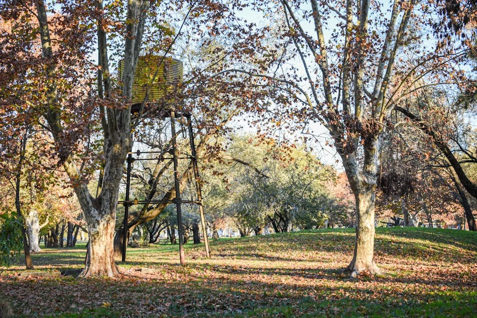 PSD Proposes Taxis for TVDE Service: Association Warns of Unfair Competition — Economy Business